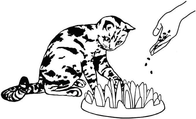Company of Animals Catch Interactive Cat Slow Feeder | Slow Feeder Cat Bowl, Gobble Stopper, Mental Stimulation Cat Puzzle Game, Suitable for Kittens & Small, Medium & Large Cats