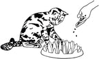 Company of Animals Catch Interactive Cat Slow Feeder | Slow Feeder Cat Bowl, Gobble Stopper, Mental Stimulation Cat Puzzle Game, Suitable for Kittens & Small, Medium & Large Cats