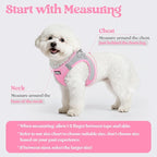 rabbitgoo Dog Harness Small Sized and Leash Set, Step-in Puppy Pet Vest | Light, Soft, Breathable Air Mesh, Easy on and Remove with Hook & Loop, Secure Reflective for Walking, Light Pink & Gray S