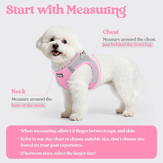 rabbitgoo Dog Harness Small Sized and Leash Set, Step-in Puppy Pet Vest | Light, Soft, Breathable Air Mesh, Easy on and Remove with Hook & Loop, Secure Reflective for Walking, Light Pink & Gray M