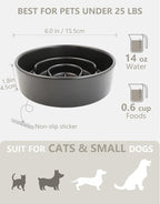 Ceramic Slow Feeder Dog Bowls, 0.6 Cup Slow Feeder for Small Dogs, Puzzle Maze Bowl, Prevents Choking, 6in, Black