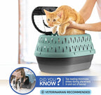 Petmate Top Load Plastic Cat Kennel for Small Dogs, Puppies & Cat Carriers, One-Door, Top Loading, Made in USA, 19" for Pets Up Tp 10 lb, Purple
