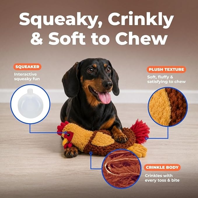 Best Pet Supplies Interactive Squeaky Dog Chew Toy, Ideal Dog Toys for Chewers, Small, Medium & Large Dogs, and Fetch Lovers - Crinkle Chicken (Wine Red), Large