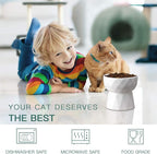 Frewinky Cat Bowls,Ceramic Cat Bowls Anti Vomiting,Raised Food and Water Bowl Set for Cats and Small Dogs,13.5 Oz