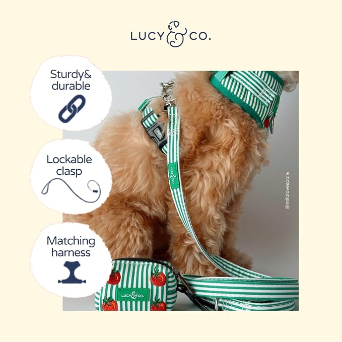 Lucy & Co. Tomato, Tomahto Dog Leash, Durable Matching Dog Lead with Heavy Duty Hardware, Small