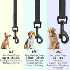 Dogline Biothane Waterproof 6ft Dog Leash Strong Coated Nylon Webbing with Black Hardware Odor-Proof Easy to Clean High Performance for Small or Large Dogs Made in USA 6ft Lead, Black