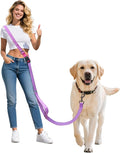 Hands Free Dog Leash,Galaxy Reflective, Crossbody Dog Leash,Purple | Galaxy Reflective • Crossbody Carry • Soft Velvet Handles • Everyday Comfort