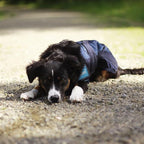 Back on Track Cool on Track Cooling Dog Coat (L, 70cm / 23-27")