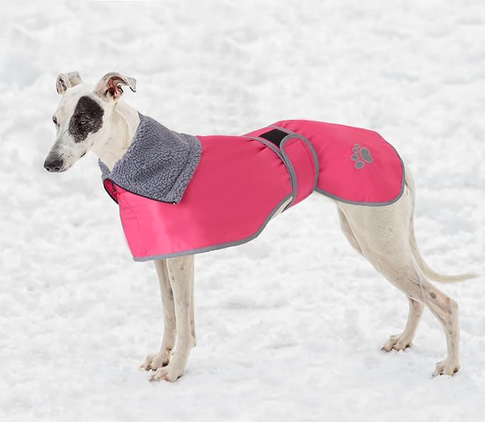 Geyecete Dog Winter Coat Geyecete Greyhound Raincoat Fabric with Lamb Velvet Inside Outdoor Dog Apparel with Adjustable Bands for Medium, Large Dog-Pink-L