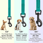Dogline Biothane Waterproof Dog Leash Strong Coated Nylon Webbing with Black Hardware Odor-Proof Easy to Clean High Performance for Small or Large Dogs Made in USA 4 or 6 ft Lead, Blue Aqua
