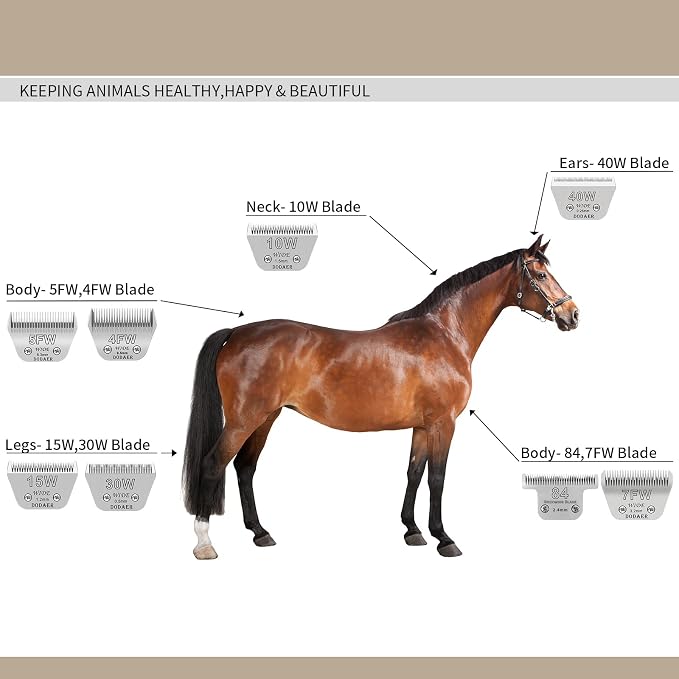 T84# Dog Grooming Blades,Compatible with Andis/Oster A5 Dog Clippers | Compatible with Wahl KM10 dog clipper,Cut Length 3/32"(2.4mm)