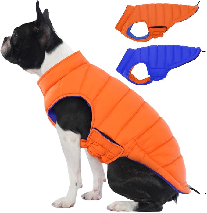 Lelepet Reversible Dog Coat Windproof Dog Puffer Jacket Lightweight Vest | Soft Puffer Vest Warm Winter Coats for Medium Dogs Adjustbale Hook & Loop Pet Apparel with Leash Hole, Pug, Orange, M