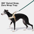 VETRESKA Dog Harness and Leash Set, Easy Walk Dog Harness, L | for Large Medium Dogs, No Pull Puppy Harness for Walking and Training, Adjustable, Anti-Twist Leash (Santal Forest)