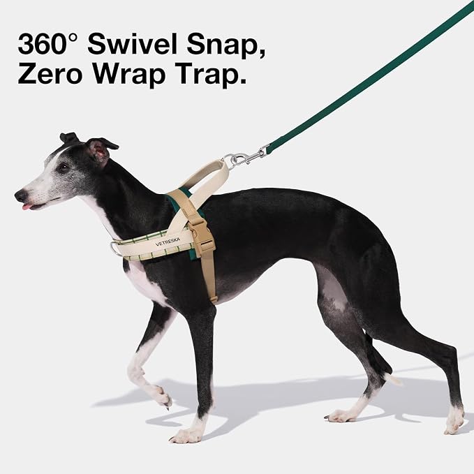 VETRESKA Dog Harness and Leash Set, Easy Walk Dog Harness, XS | for Small Medium Dogs, No Pull Puppy Harness for Walking and Training, Adjustable, Anti-Twist Leash (Santal Forest)