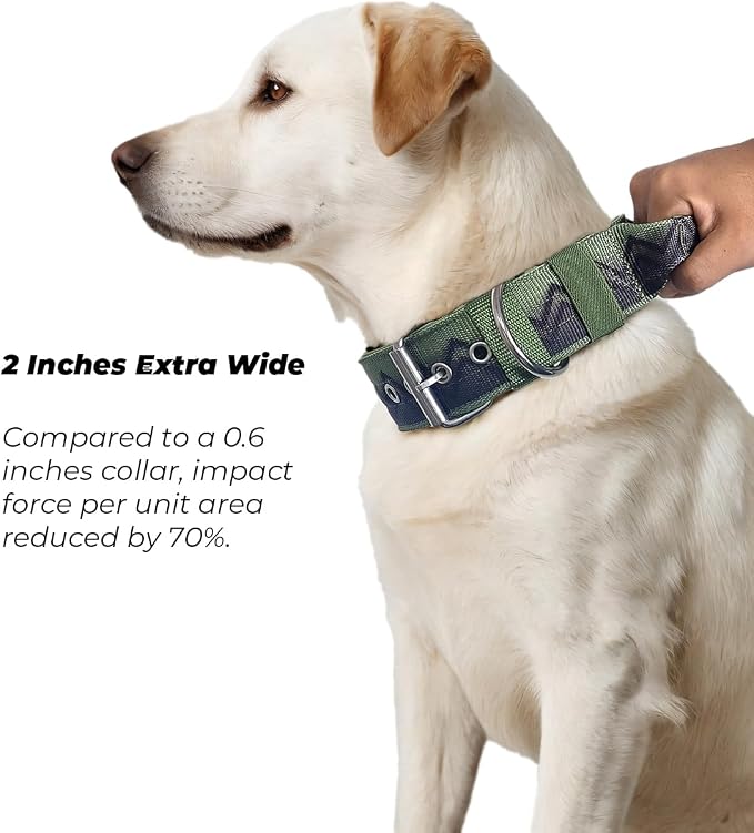 Dog Collar for Large Dogs,2 in Wide Heavy Duty,Pressure-Relief Padded, C-M | Professional Protection for Large and Giant Breeds,Handle for Control,Stainless Steel Buckle Ultra Safety,20-23 in