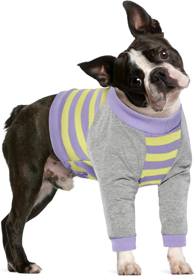 FUAMEY Dog Recovery Sleeve with Elbow Protector, Purple Stripes M | Stop Licking Joints,Pet Long Sleeve Suit Protecting Dog's Front Leg Arm Wounds Cover Skin Conditions,Hot Spots