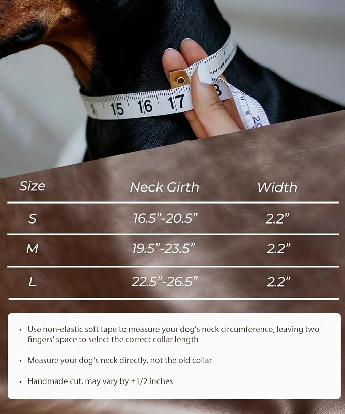 Genuine Leather Dog Collar 2.2 in Wide for Large Dogs Heavy Duty, BN-SL-S | Handcrafted,Stainless Steel Buckle and Alloy Studded,Soft Padded,Fashionable Daily Wear for Large Giant Breed,16.5-20.5 in