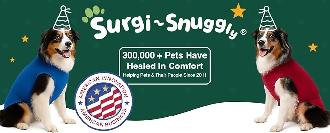 SurgiSnuggly Veterinary Invented Dog Surgical Recovery Suit for Female or Male Dogs,Spay, Neuter Onesie, The Original Surgical Recovery Bodysuit for After Surgery Small, Medium, Large Dogs BR M EC