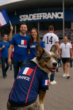 Parisian Pet Team France Dog Jersey - Breathable Mesh Puppy Football Jersey - Lightweight Stretch Sporty Dog Clothes - Summer Shirts for Small Dogs - Soccer Jersey for Dogs - Sportswear Pet Clothes