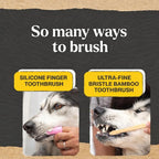 Dr. Oakley Dental Toothbrush Kit for Dogs & Cats -Finger Brush for Small Pets and Soft brushes for Large or Older Natural and Safe Peanut Butter Flavor -