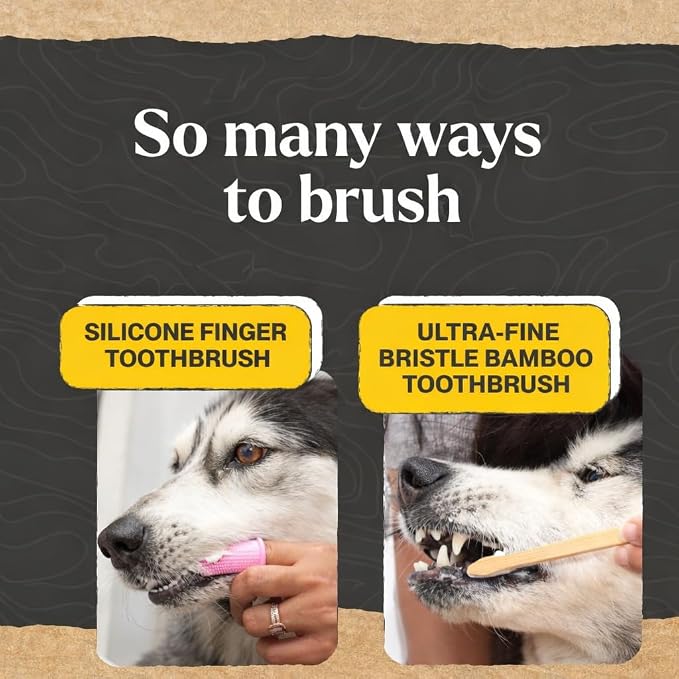 Dr. Oakley Dental Toothbrush Kit for Dogs & Cats, Chicken Flavor | Finger Brush for Small Pets, Soft Brushes for Large or Older Pets, Natural and Safe