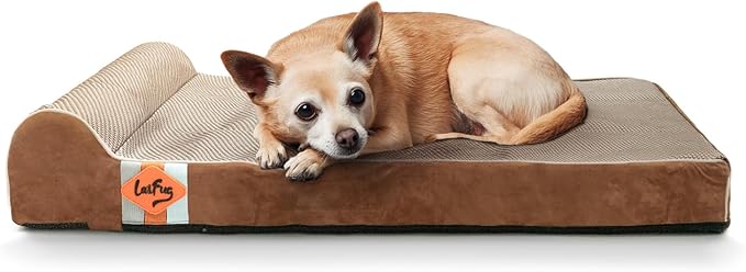 Laifug Orthopedic Dog Beds for Large Dogs,3" Memory Foam Dog Beds,Durable Water Proof Liner Removable and Washable, Nonskid Bottom, Brown 34"x22"x5.5"