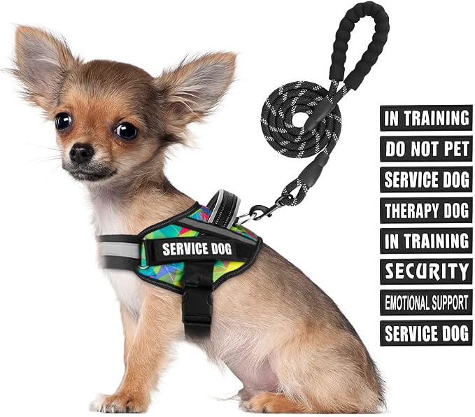 Service Dog Vest Harness and Leash Set, Animire in Training Dog Harness with 10 Dog Patches, Reflective Dog Leash with Soft Handle for Small, Medium, Large, and Extra-Large Dogs (Multi-Colored,S)