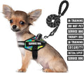 Service Dog Vest Harness and Leash Set, Animire in Training Dog Harness with 10 Dog Patches, Reflective Dog Leash with Soft Handle for Small, Medium, Large, and Extra-Large Dogs (Multi-Colored,S)