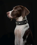 Genuine Leather Dog Collar 2.2 in Wide for Large Dogs Heavy Duty, BK-SL-S | Handcrafted,Stainless Steel Buckle and Alloy Studded,Soft Padded,Fashionable Daily Wear for Large Giant Breed,16.5-20.5 in