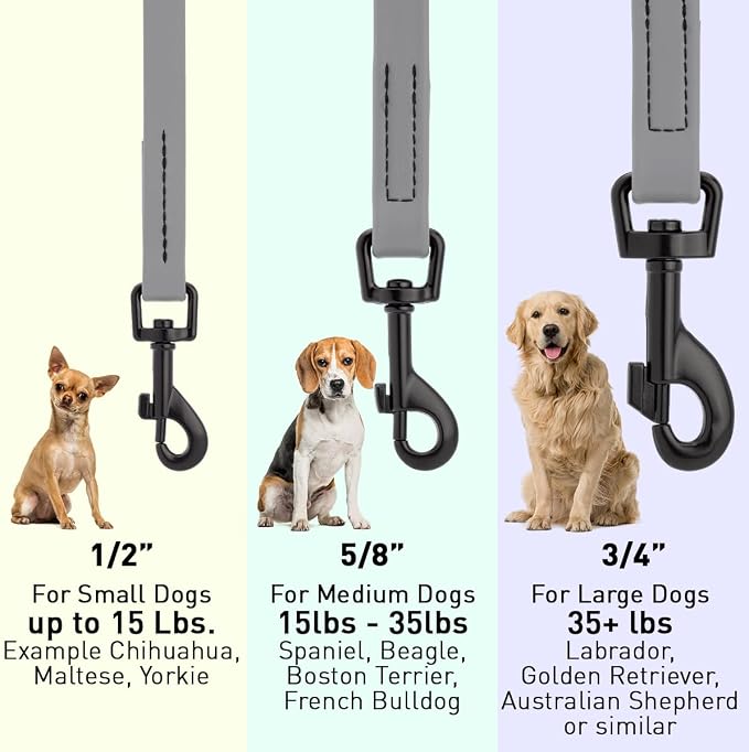 Dogline Biothane Waterproof Dog Leash Strong Coated Nylon Webbing with Black Hardware Odor-Proof Easy to Clean High Performance for Small or Large Dogs Made in USA 4 or 6 ft Lead, Battleship Gray
