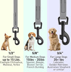 Dogline Biothane Waterproof Dog Leash Strong Coated Nylon Webbing with Black Hardware Odor-Proof Easy to Clean High Performance for Small or Large Dogs Made in USA 4 or 6 ft Lead, Battleship Gray