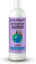 earthbath Lavender Dog Shampoo, Deodorizing Dog Wash, 16 Oz (1 Pack) | Coat Brightening Shampoo for Dogs, Made in USA, Cruelty Free Pet Shampoos