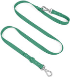 Wisedog Waterproof Dog Leash, Pine Green, 5 ft × 3/4 in | Adjustable, 2 Metal Swivel Hooks, Easy to Clean, For Small, Medium, Large breed Dogs