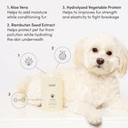 OUAI Fur Bébé Pet Shampoo - Cat & Dog Shampoo for Gentle Cleansing, Hydration & Shine - Vegan & Cruelty-Free Pet Supplies with Aloe Vera & Panthenol - Mercer Street Scent (16 Fl oz)