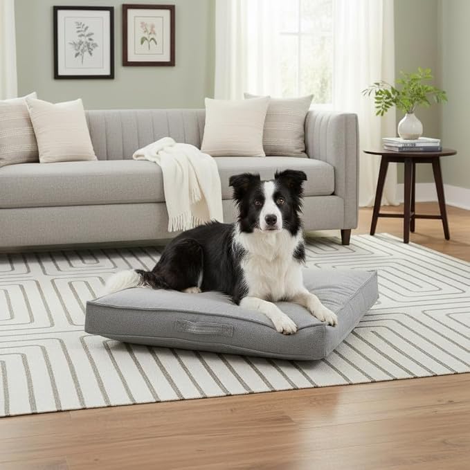 Indoor Dog Bed with Removable Washable Cover, Soft Basketweave Fabric, Reversible Cushion, Carry Handle, Baffle Construction to Help Prevent Fill Shifting, Cement - Medium (32"x32")