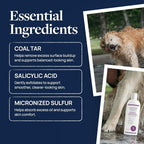 Veterinary Formula Clinical Care Antiparasitic Shampoo, 16 oz, 2-Pack | Antiparasitic and antiseborrheic shampoo for dry, irritated skin and occasional itchy spots