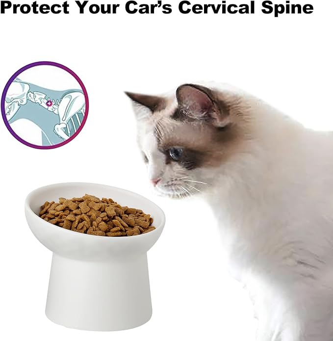 Elevated Cat Bowls, 15° Tilted Ceramic Raised Cat Food and Water Bowl Set, Whisker-Friendly Porcelain Pet Feeder Dishes for Indoor Cats and Small Dogs,White,5.2 Inch,1 Pack