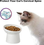 Elevated Cat Bowls, 15° Tilted Ceramic Raised Cat Food and Water Bowl Set, Whisker-Friendly Porcelain Pet Feeder Dishes for Indoor Cats and Small Dogs,White,5.2 Inch,2 Pack