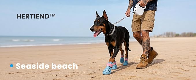 Dog Shoes for Hot Pavement - Comfortable Paw Protection for Medium & Large Dogs, Adjustable Strap & Non-Slip, Easy-Clean, Outdoor Sports Boots, Dog Booties for Summer Rain (Coastal Blue, M)