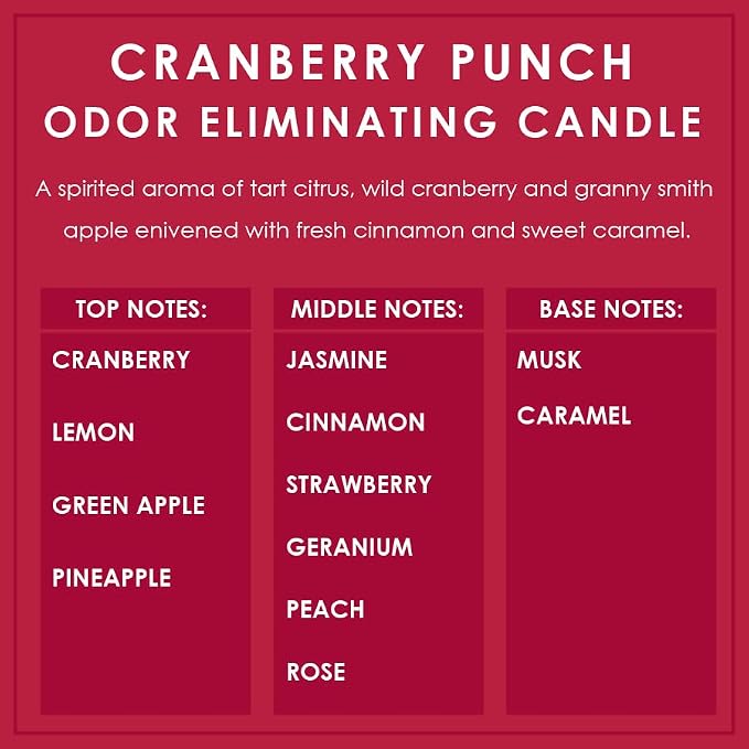 Cranberry Punch Odor Eliminating Highly Fragranced Candle - Eliminates 95% of Pet, Smoke, Food, and Other Smells Quickly - Up to 80 Hour Burn time - 12 Ounce Premium Soy Blend