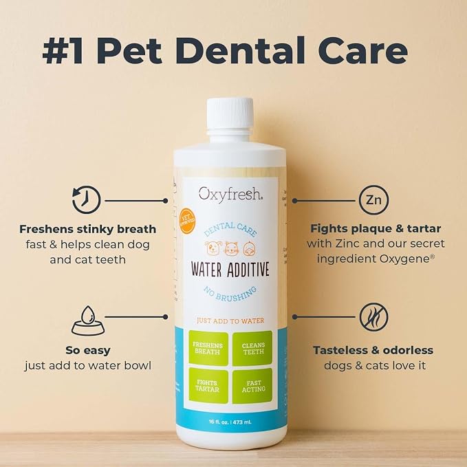 Oxyfresh Premium Pet Dental Care Solution Pet Water Additive: Best Way to Eliminate Bad Dog Breath and Cat Bad Breath - Fights Tartar & Plaque - So Easy, Just Add to Water! Vet Recommended 16 oz. | Perfect to Eliminate Bad Dog Breath and Cat Bad Breath...