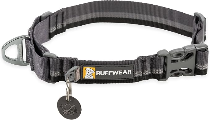 Ruffwear, Web Reaction Dog Collar, Escape-Proof Security Buckle, Adjustable Anti-Slip Martingale Collar with Durable Nylon Tubelok Webbing & Silent ID Attachment, Basalt Gray, 20"-23"
