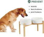 Havniva Dog Bowls Elevated, Ceramic Dog Food and Water Bowl Set | 8.3” Raised Dog Food Bowl, Elevated Dog Bowls with Bamboo Stand, Non-Slip Dog Water Bowl for Large Dog, Large Capacity