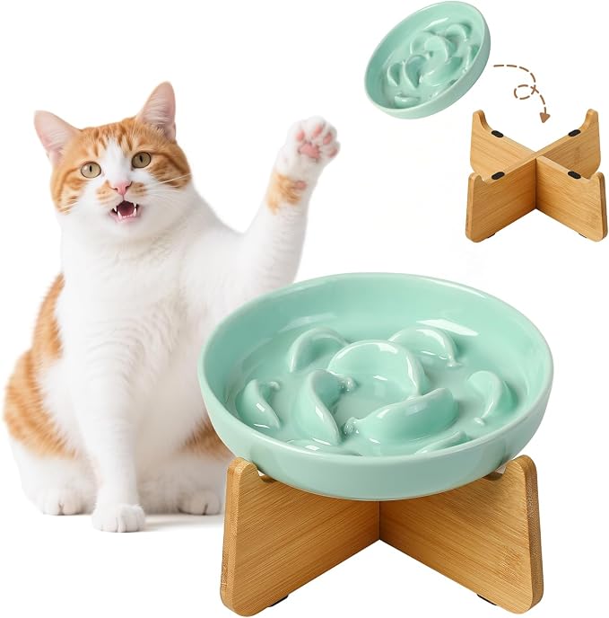 Elevated Ceramic Slow Feeder Cat Bowl, 6.3'' Wide Whisker Friendly | Slow Eating 5x, Anti Vomit Shallow Slow Eating Cat Dish, 3.7" H Raised Cat Puzzle Feeder for Dry and Wet Food, 6.3" X 1.2"