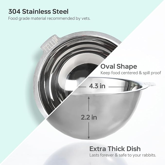 Felli Oblik 15° Tilted Small Animal Bowls for Pet Food & Water 6 oz Stainless Steel Dish Removable, Slanted Metal Plate Feeder for Kitten Puppy Rabbit Bunny Guinchilla Pig (0.75 Cups, Classic)