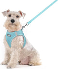 rabbitgoo Dog Harness Medium Sized and Leash Set, Step-in Puppy Pet Vest | Light, Soft, Breathable Air Mesh, Easy on and Remove with Hook & Loop, Secure Reflective for Walking, Mint Blue XXL