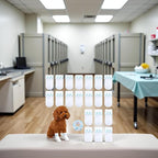 20 Pcs White Disposable Dog Boots for Paw Protection, 20 Pcs Disposable Dog Shoes with Adjustable with Adhesive Tape for Small Medium Large Dogs, Dog Socks to Prevent Paw Licking(S (5-16lb))