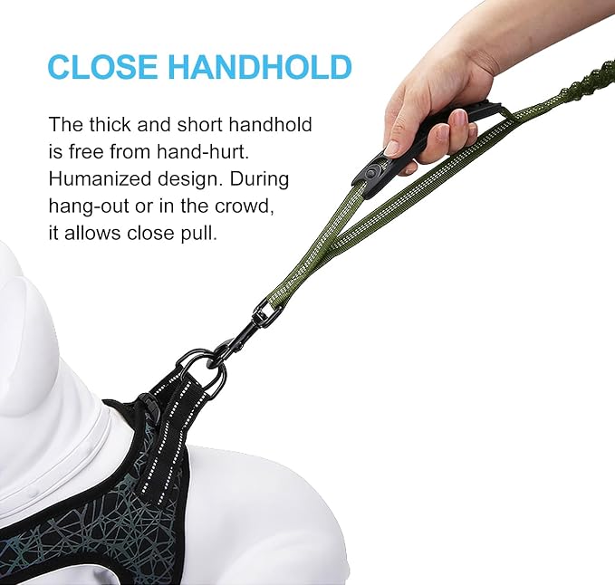 6FT Highly Reflective Heavy Duty Elastic Bungee Medium and Large Dog Leash Shock Absorbing with Comfortable Padded Handle and Traffic Handle Suitable for Training