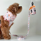 Lucy & Co. Sipping Slowly Dog Leash, Durable Matching Dog Lead with Heavy Duty Hardware, Small