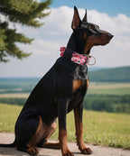 Dog Collar for Large Dogs, with Handle 2" Wide Heavy Duty, Blush-M | 1/3in Thick Military Nylon and Neoprene Padded plus Stainless Steel Pin Buckle,for Strong and Garint Breeds,Neck Protector